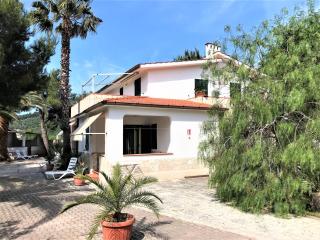 Residence Palm Garden - Vieste - 8