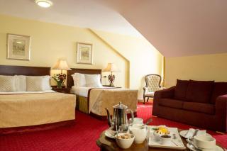 Meadow Court Hotel - Loughrea - 7