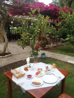 Hotel Dougas - Arkoudi - 1