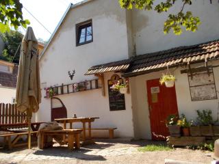 Apartmán Kamenka - 8