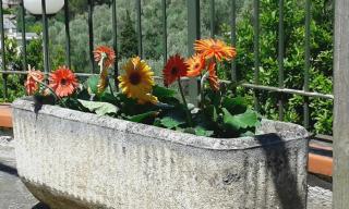 Appartamento Bellavista - Moneglia - 1