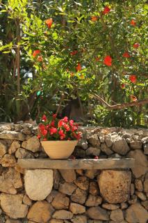 Apartments Nejašmić - little house for peaceful and domestic vacation - 5