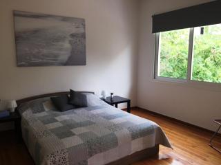 Central 5 Room Apartment - Atene - 2