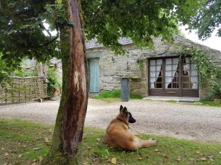 Maisonnette atypique au pied des monts d'Arree - Commana - 0