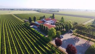 Agriturismo Le Cipressine - Meolo - 0