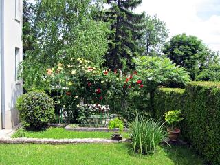 Apartment Ana - Sinj - 8