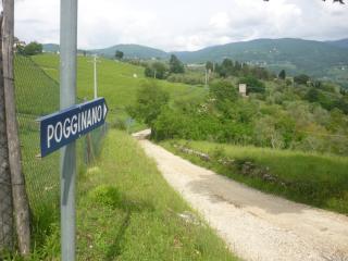 Complesso colonico Pogginano - Pelago - 8