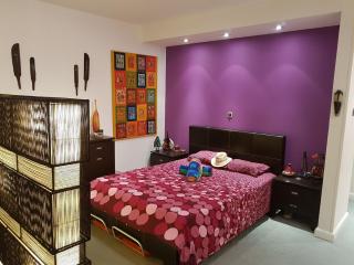 Sylvias art studio apt - 3