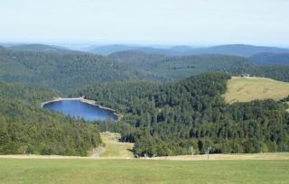 Au pied du Markstein - Oderen - 5