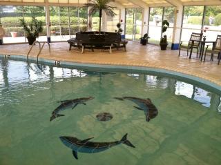 Best Western Carlton Suites - 7