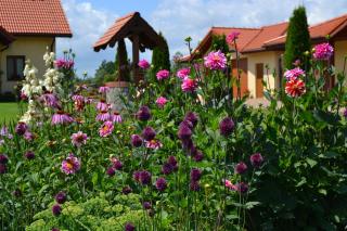 Agroturystyka nad Jeziorem Orłowskim - 5