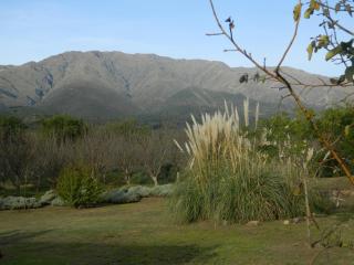 Finca La Julia - Luyaba - 4