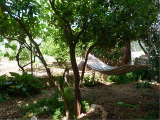 Apartments with parking spaces Slatine, Ciovo - 15175 - Slatine - 9
