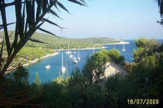 Seaside family friendly house with a swimming pool Cove Pribinja, Hvar - 15324 - 5