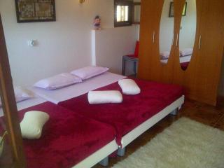 Seaside family friendly house with a swimming pool Cove Pribinja, Hvar - 15324 - 3