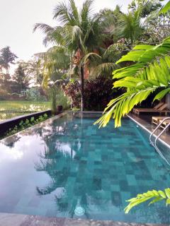 Ubud Lestari Bungalows - Ubud - 8