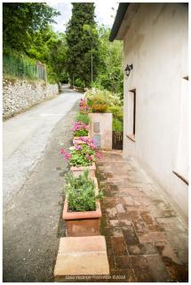 Casa Vacanza Francesca #10 - Sassetta - 2