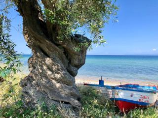 Byblos Luxury Villa - 7