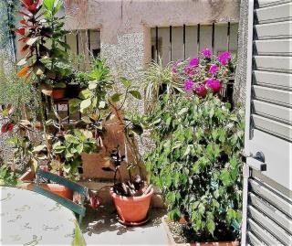 Casa Elena Al Duomo - Syracuse - 2