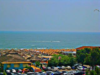 Anabella Summerland Apartment - Mamaia - 8