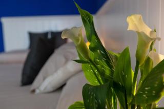 Hotel Maximilian - Bardolino - 7