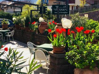 B&B Pizzeria Zur Traube - 1