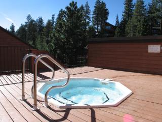 Mammoth Village Properties by 101 Great Escapes - Mammoth Lakes - 1