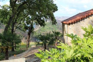 Oak Cottage - Ferreira do Zêzere - 6