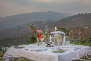 The Orchard at Peora Estates - Mukteshwar - 7