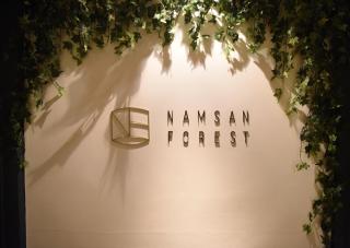 Namsan Forest in Myeongdong - Seul - 0