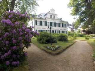 Kurheim Haus Linde - Bad Elster - 3