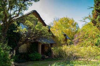 Cottage Pie - Clarens - 0
