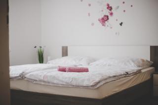 Apartma Trebušca - Dolenja Trebuša - 8