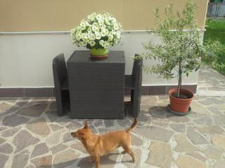 B&B Ciccilia - Bentivoglio - 9