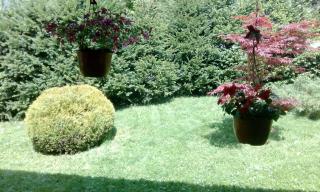 Apartmani Nais Zlatibor - 7