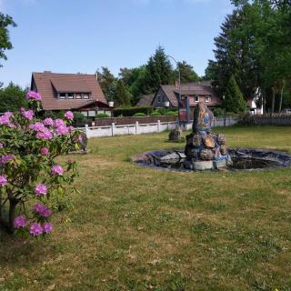Hotel Südheide - Hermannsburg - 9