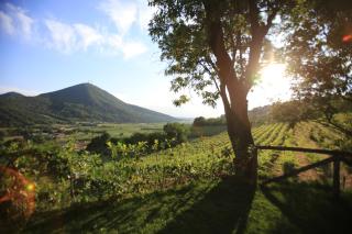 I grilli b&b - Baone - 8
