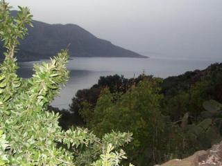 Georgia Studios - Fourni - 2