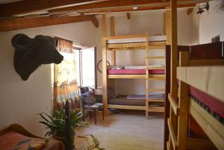 Gerry `s Backpacker - Konstanz - 8