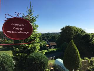 Harmonie Hotel Rust - Hohegeiß - 4