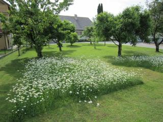 apartma Majda - Bled - 8