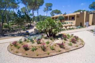 Ses Eufabietes Apartments & Restaurant - Sant Francesc Xavier - 1