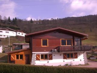 Chalets les Marcels - La Bresse - 0