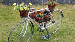Bed & Breakfast Gli Oleandri - Stresa - 1