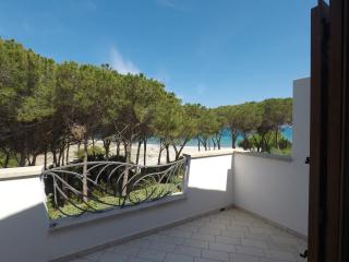 La Corte degli Ulivi Appartamenti - Cala Liberotto - 3