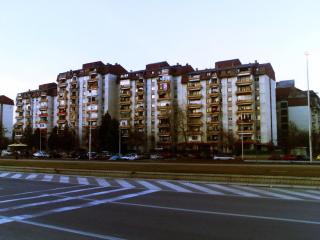 Green forest - free parking - 1