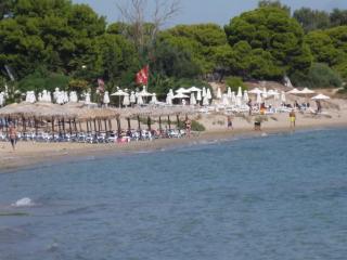 on the beach near the airport - 9