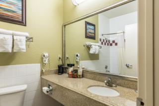 Quality Suites North Houston - Spring - Houston - 2