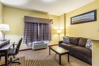 Quality Suites North Houston - Spring - Houston - 8