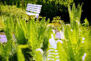 Mitten im Seenland und Spreewaldnah, schöner Garten - Storkow - 1